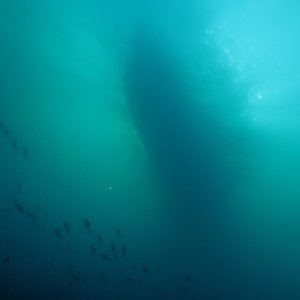 A dream of a boat