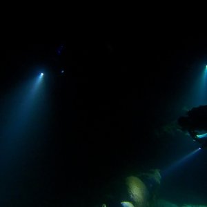 Group night dive