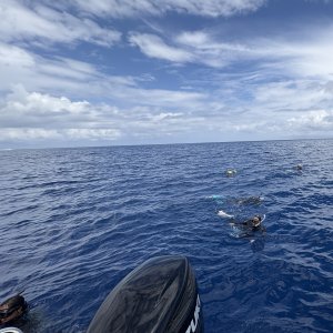 2025 1001 Moorea CHUM3.JPG