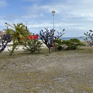 2025 1009 Fakarava Scene4 LowRes.jpeg