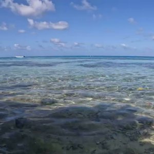 Fakarava Ocean Scene
