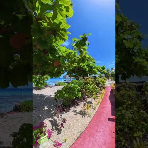 Fakarava Beach Scene with Holly