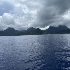 Moorea from boat first day