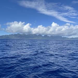 Moorea from boat second day