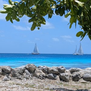 Just another day.jpg