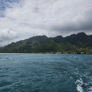 Moorea from the boat