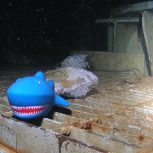 Valhalla 2005 reupload