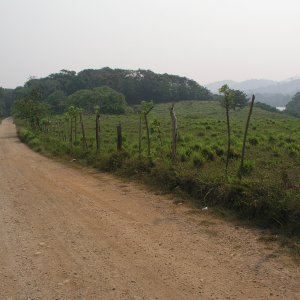 Roatan 2005 reupload