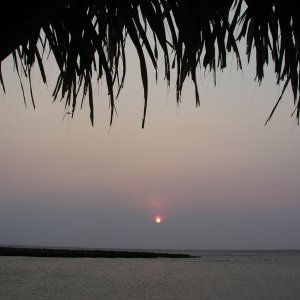 Roatan 2005 reupload