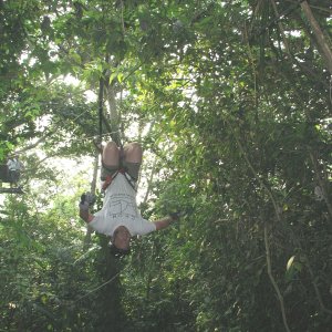 Roatan 2005 reupload