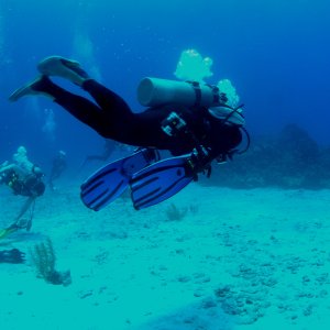 Roatan 2005 reupload