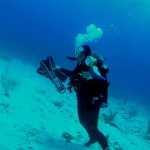 Roatan 2005 reupload