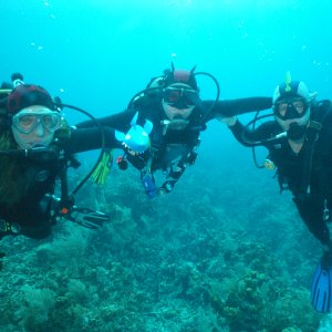 Roatan 2005 reupload