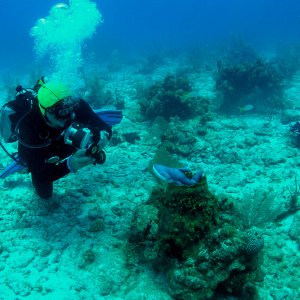 Roatan 2005 reupload