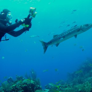 Roatan 2005 reupload