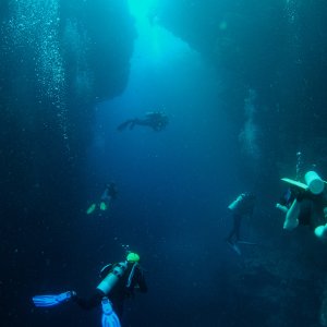 Roatan 2005 reupload