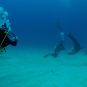 Roatan 2005 reupload