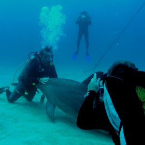 Roatan 2005 reupload