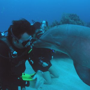 Roatan 2005 reupload