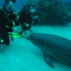 Roatan 2005 reupload