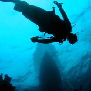 Roatan 2005 reupload