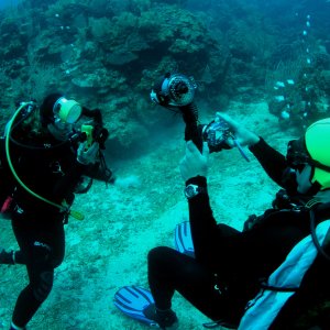 Roatan 2005 reupload