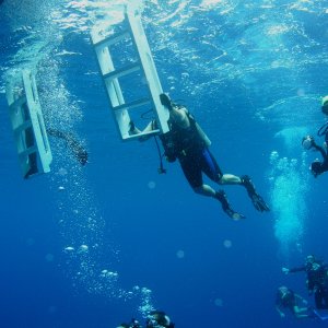 Roatan 2005 reupload