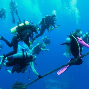 Roatan 2005 reupload