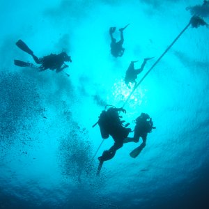 Roatan 2005 reupload