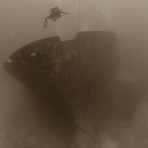 Roatan 2005 reupload