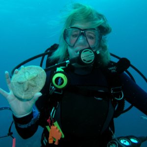 Roatan 2005 reupload