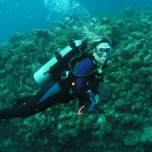 Roatan 2005 reupload