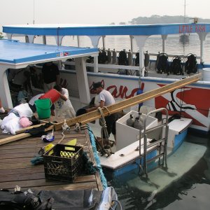 Roatan 2005 reupload