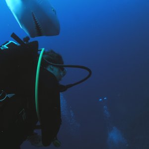 Roatan 2005 reupload