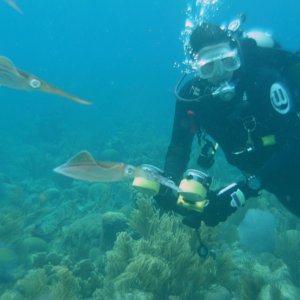 Roatan 2005 reupload