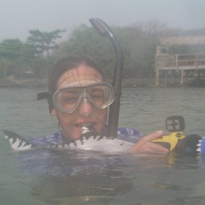 Roatan 2005 reupload