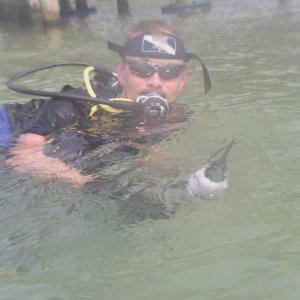 Roatan 2005 reupload