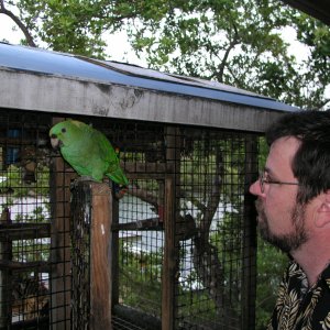 Roatan 2005 reupload