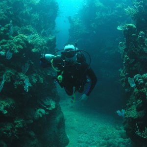 Roatan 2005 reupload