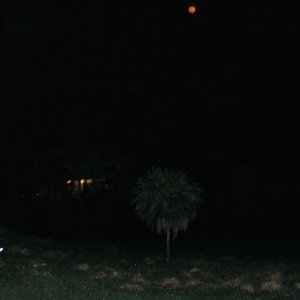 Roatan 2005 reupload