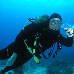 Roatan 2005 reupload