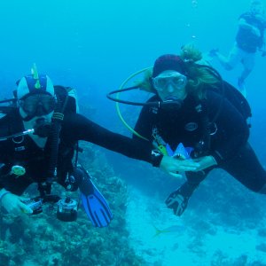 Roatan 2005 reupload