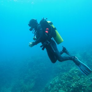 Roatan 2005 reupload