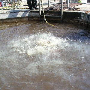 Commercial Diving Experience 2005 reupload