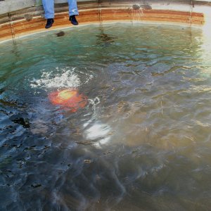 Commercial Diving Experience 2005 reupload