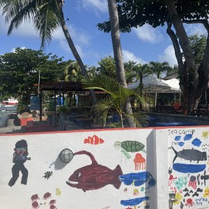 Love this lanternfish in the mural