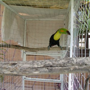 Media Luna 2005 reupload