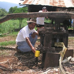 Media Luna 2005 reupload