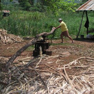 Media Luna 2005 reupload