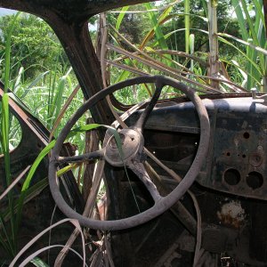 Media Luna 2005 reupload